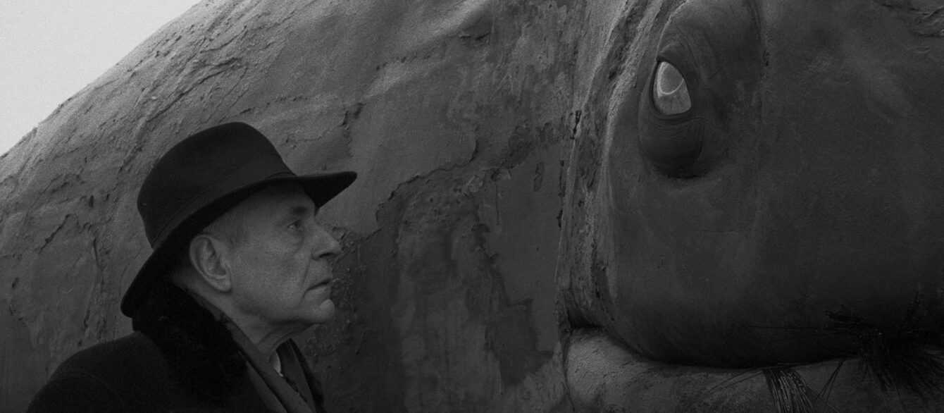 A still from Werckmeister Harmonies with a man in a hat staring into the eye of a stuffed whale.