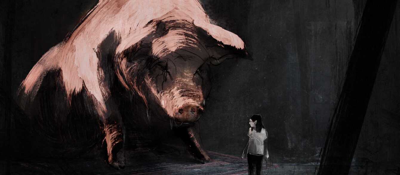 A Film Still from Letter to a Pig