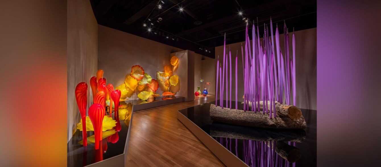 Chihuly Installation