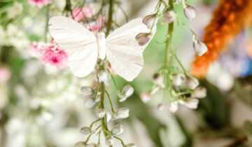 Art in Bloom, OKC Museum of Art!